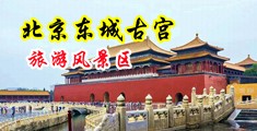 好吊操逼干中国北京-东城古宫旅游风景区